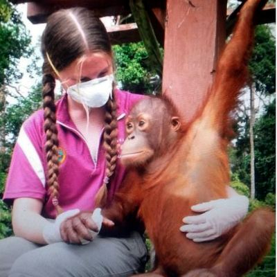 Volunteer with animal