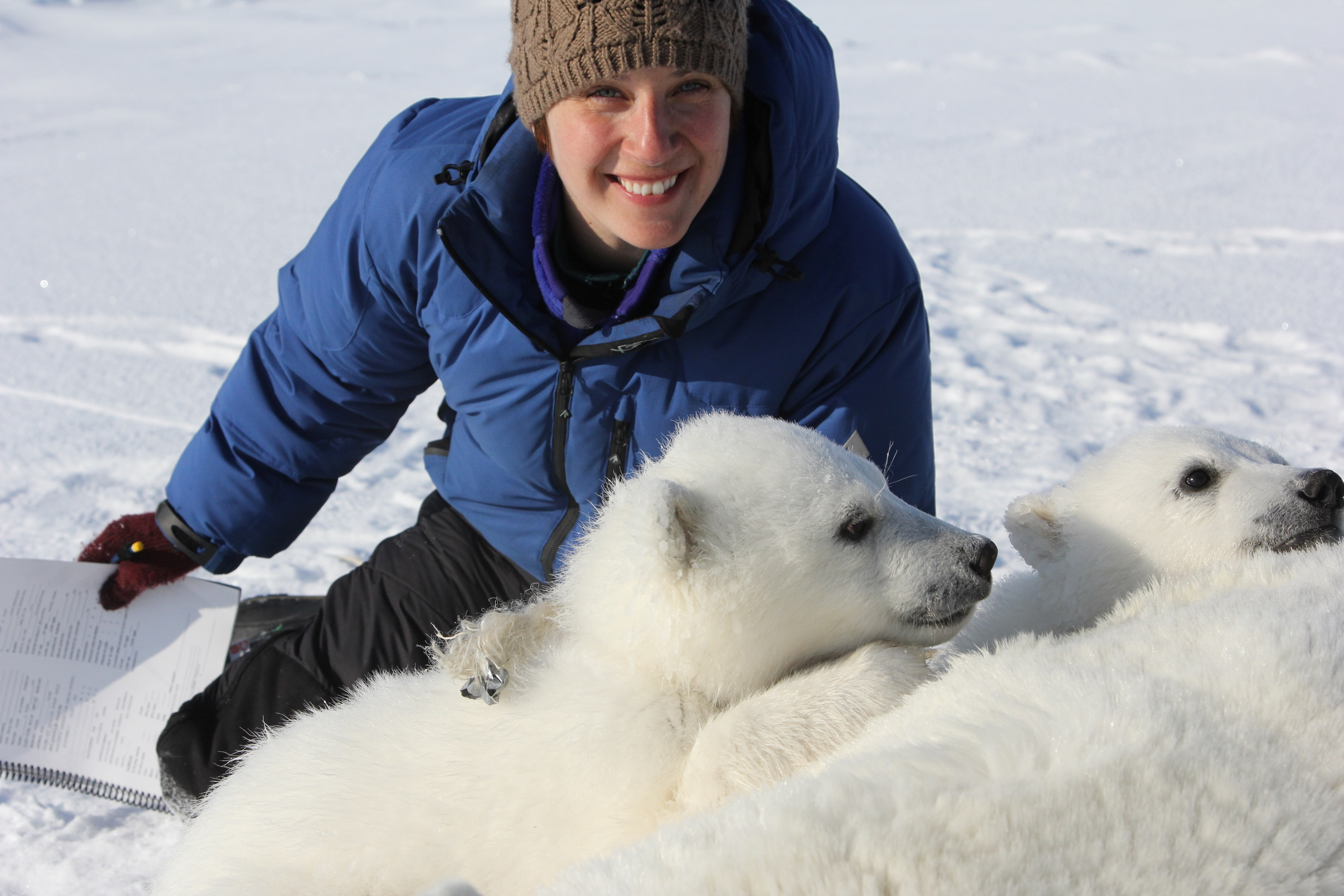 lady polar bears