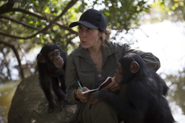 Volunteer with Organgutan